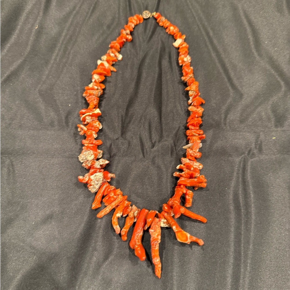 Stunning Natural Coral Branch Necklace- multi stone large organic raw - Picture 2 of 7